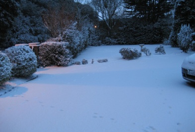 Landlords Responsibilities