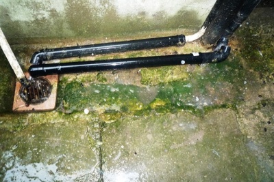 Rental Property Visits