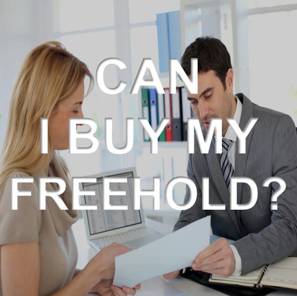 Buy My Freehold