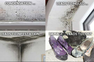 Rental Property Condensation