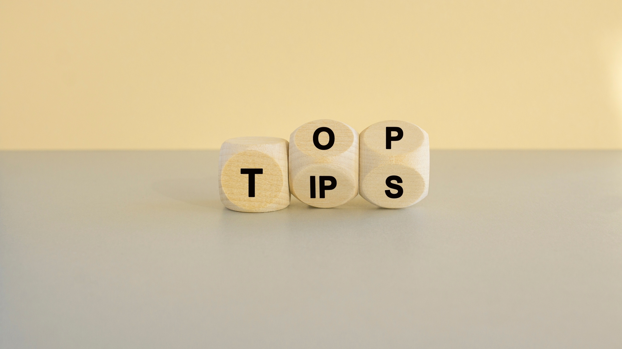 Autumn Renting ‘Cosy, not Mouldy’