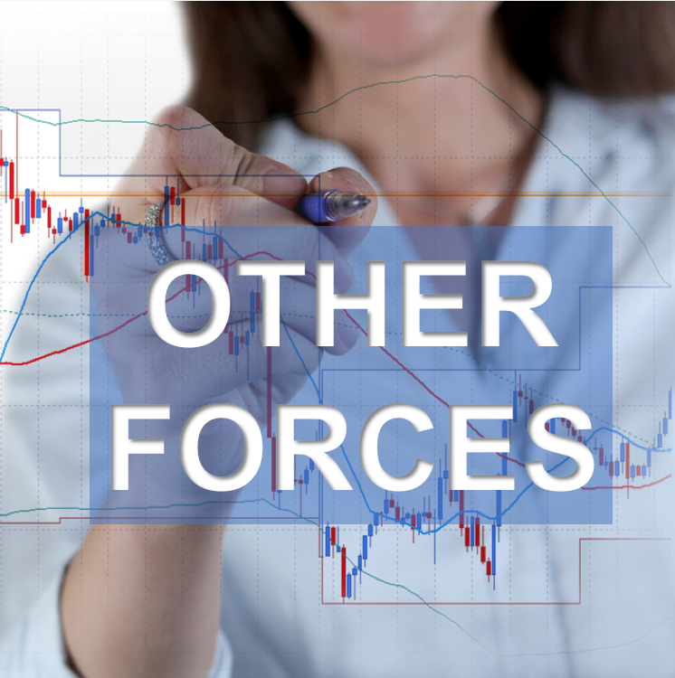 Property Market Forces