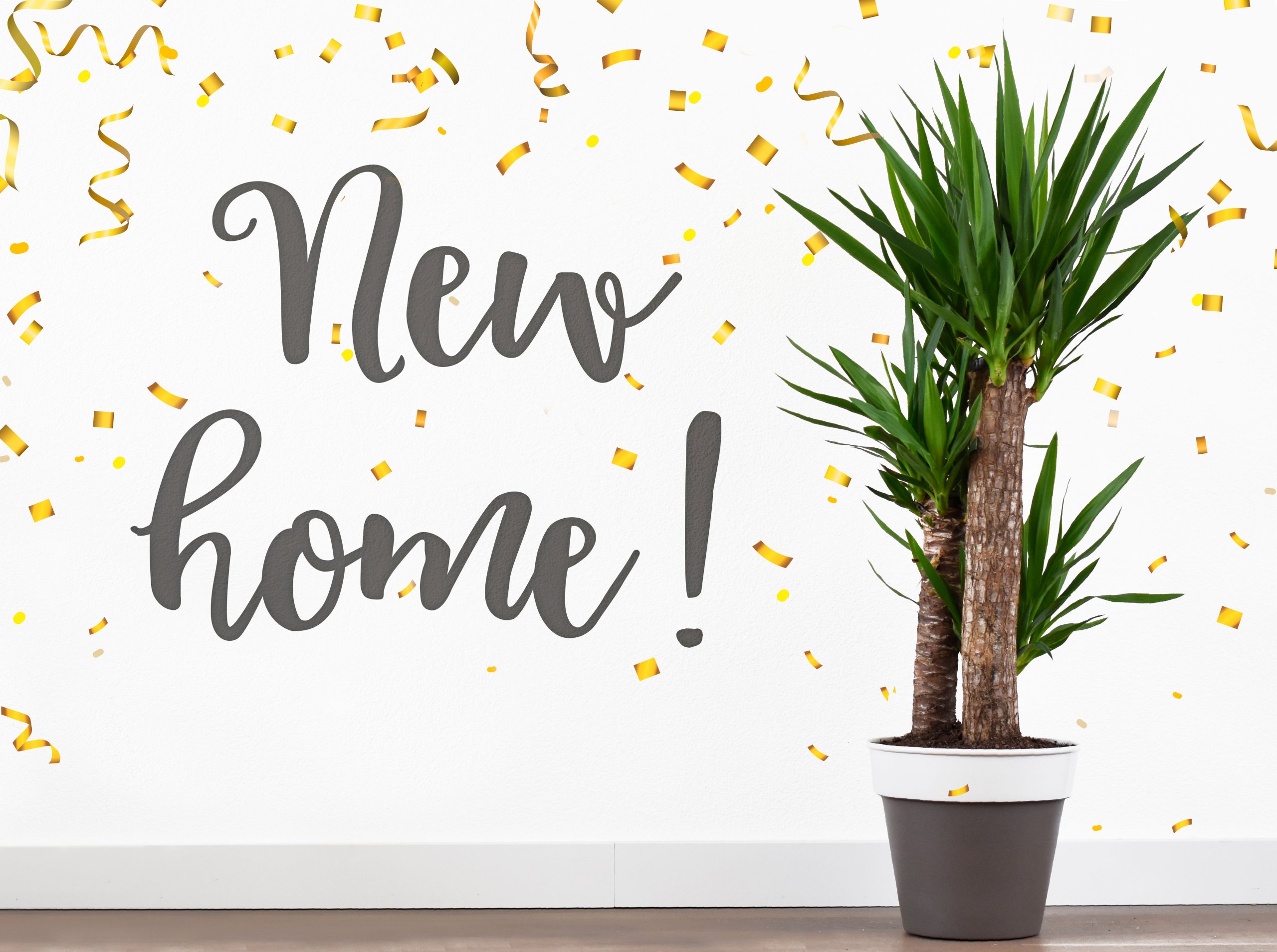 New Home for Callaways