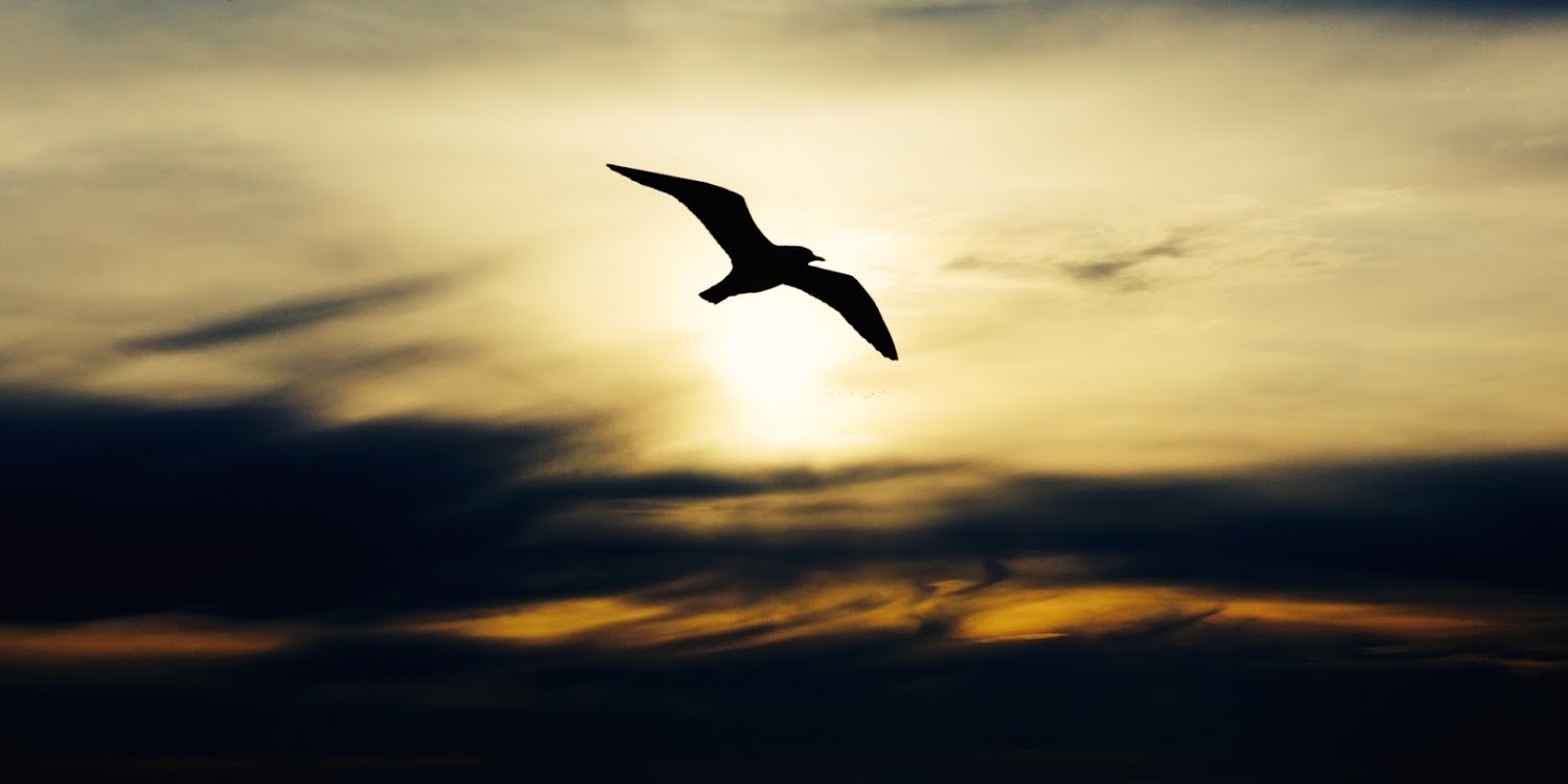 Property Bereavement & Acceptance