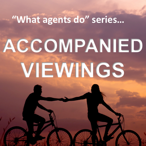 Estate Agents Viewings