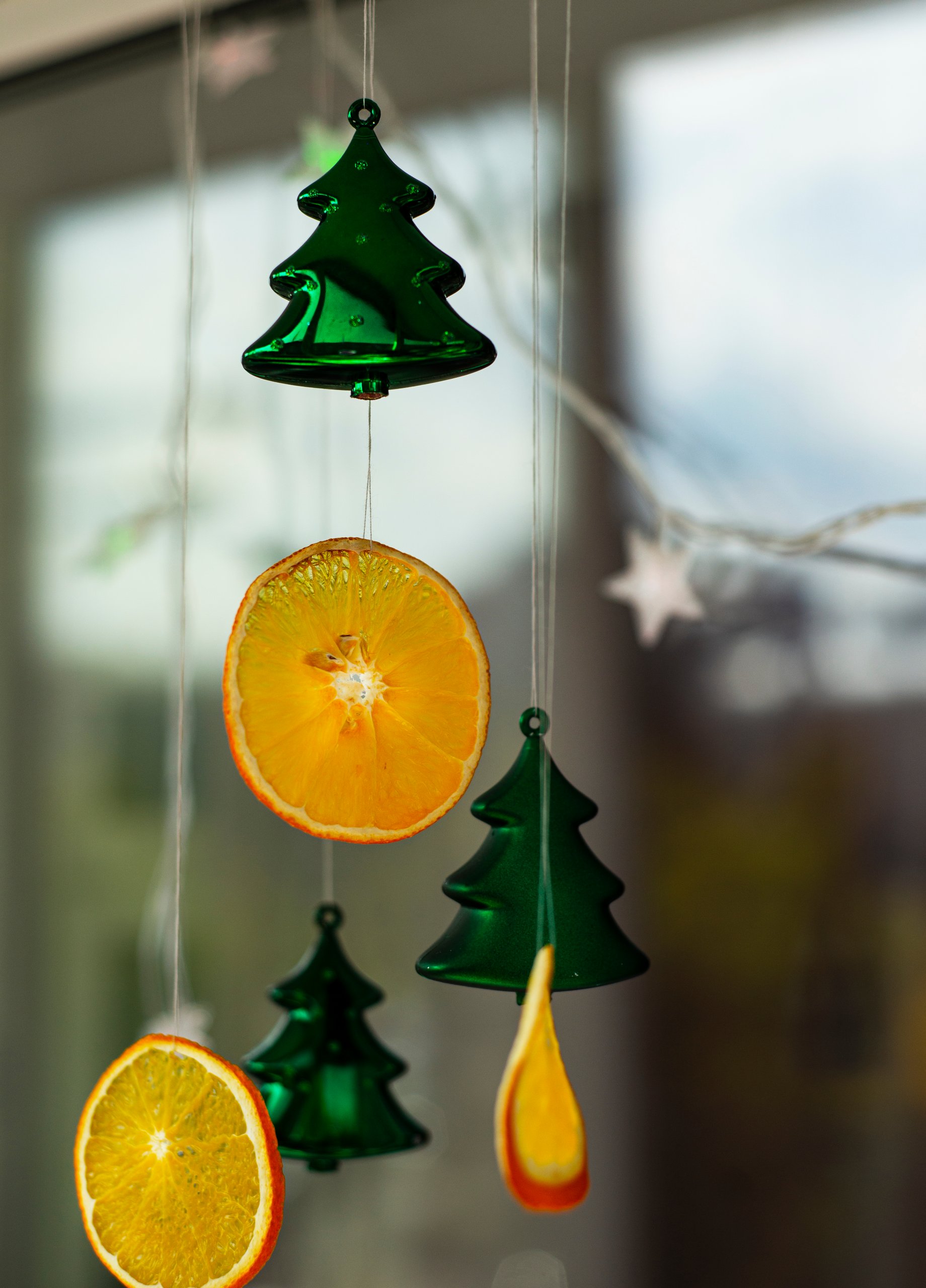 How Clean is your Home