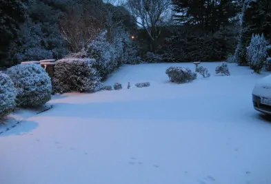 Landlords Responsibilities