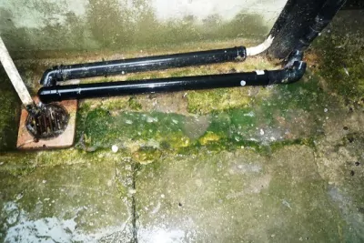 Rental Property Visits