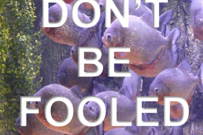 Estate Agency Multi Branches – who’s fooling who?