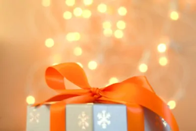 Home Security for Winter