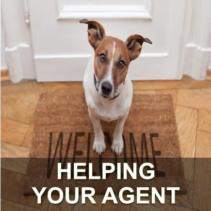 Prepare your property for sale
