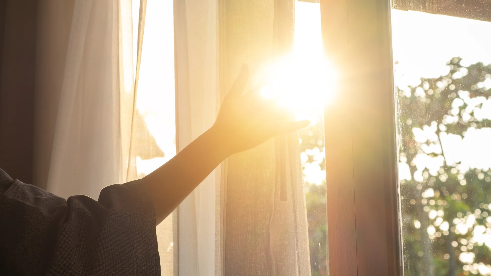 Why Sunlight Sells Homes