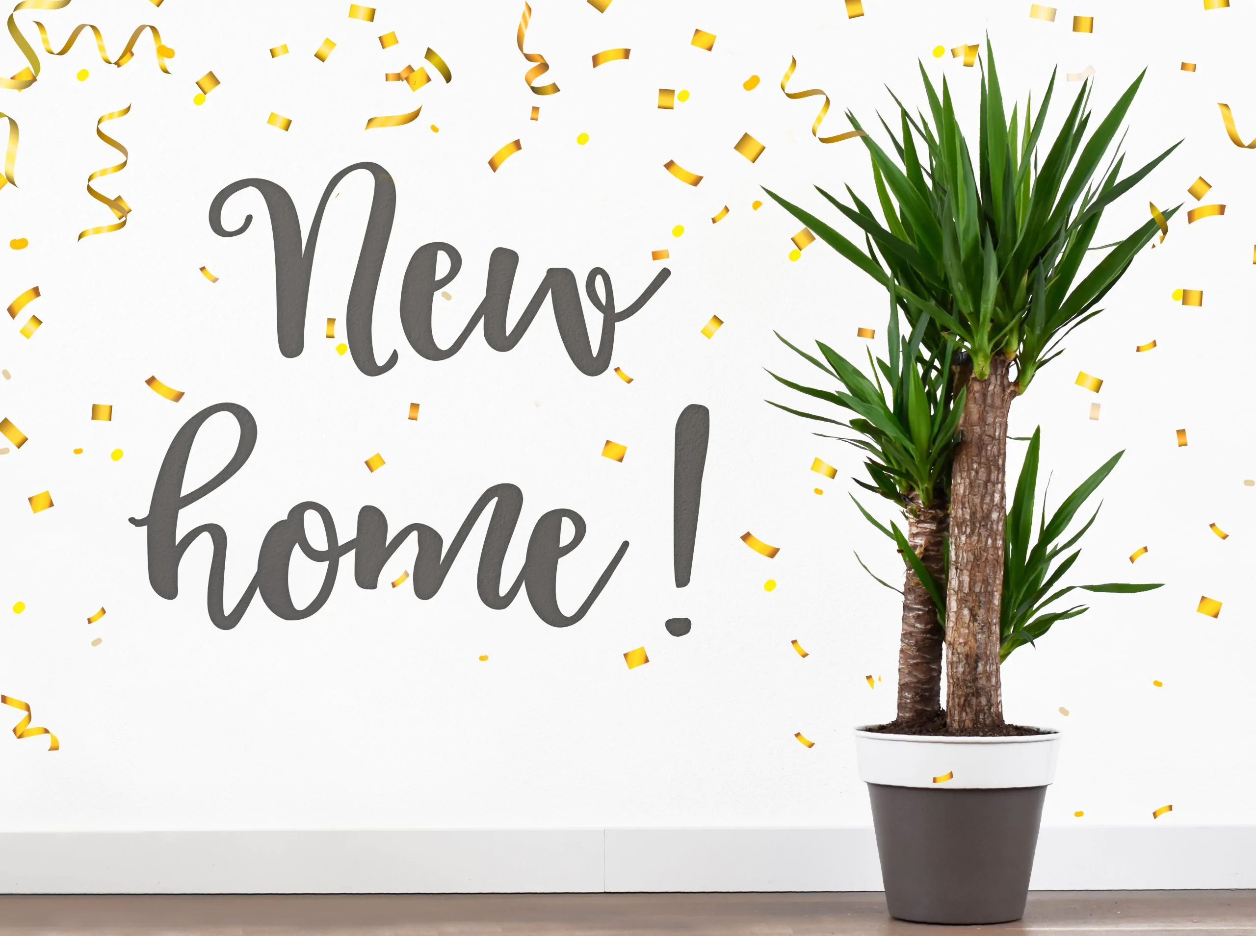 New Home for Callaways