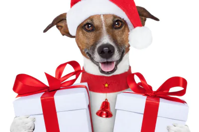 Christmas Unexpected Buyers