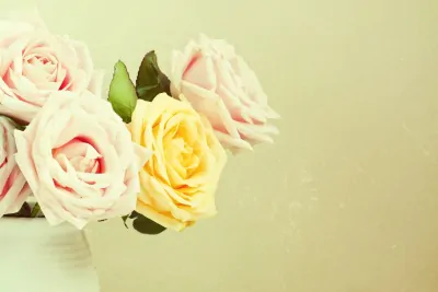 Tips for Viewing Property