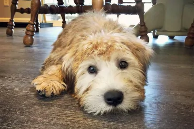 Downsizing considerations